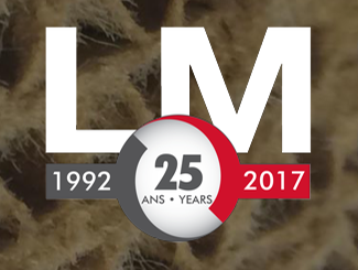 Logo-LM